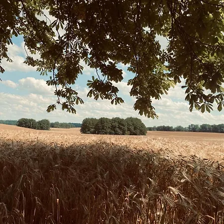 Pferdewagen Freya Kemping Kröpelin